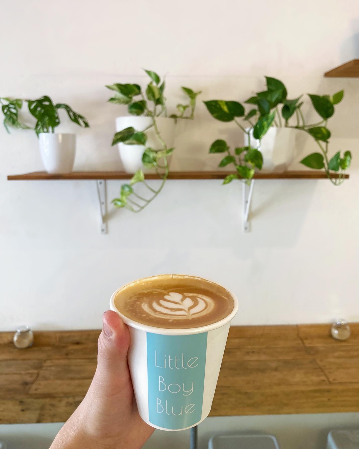 Little boy blue Visit Fremantle